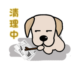 Labrador Bi III sticker #8108827