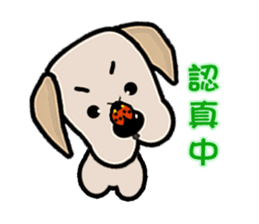 Labrador Bi III sticker #8108828