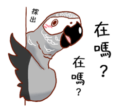 Niaoshiduo- Happy Days with Pretty Birds sticker #8109796