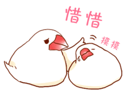 Niaoshiduo- Happy Days with Pretty Birds sticker #8109810