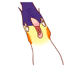 Niaoshiduo- Happy Days with Pretty Birds sticker #8109834