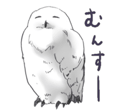 Fluffy Owl sticker #8110524