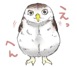 Fluffy Owl sticker #8110525