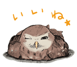 Fluffy Owl sticker #8110526