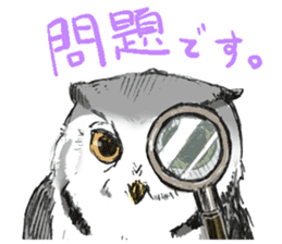 Fluffy Owl sticker #8110527