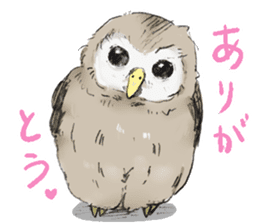 Fluffy Owl sticker #8110528