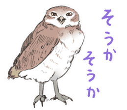 Fluffy Owl sticker #8110533
