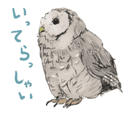 Fluffy Owl sticker #8110536
