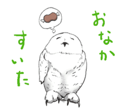 Fluffy Owl sticker #8110537