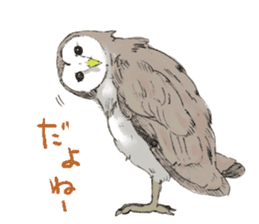 Fluffy Owl sticker #8110538