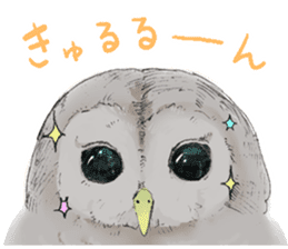 Fluffy Owl sticker #8110539