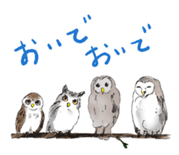 Fluffy Owl sticker #8110541