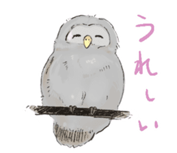 Fluffy Owl sticker #8110542