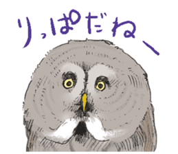 Fluffy Owl sticker #8110543