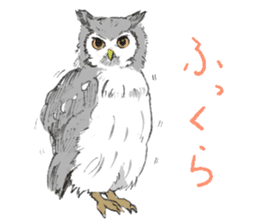 Fluffy Owl sticker #8110544