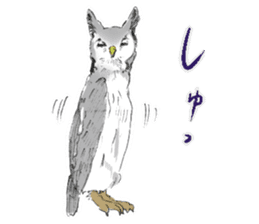 Fluffy Owl sticker #8110545