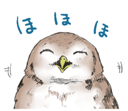 Fluffy Owl sticker #8110546