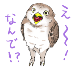 Fluffy Owl sticker #8110547