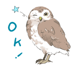 Fluffy Owl sticker #8110548