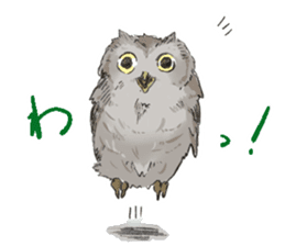 Fluffy Owl sticker #8110549