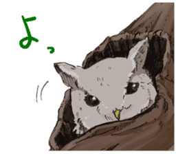 Fluffy Owl sticker #8110550