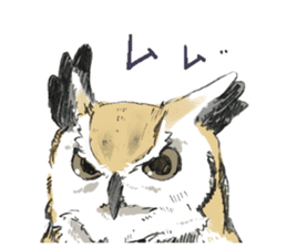 Fluffy Owl sticker #8110551