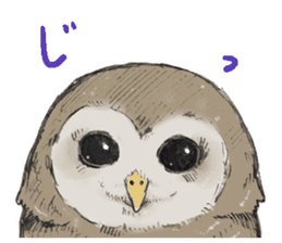 Fluffy Owl sticker #8110557