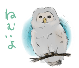 Fluffy Owl sticker #8110558
