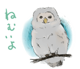 Fluffy Owl sticker #8110558