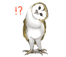 Fluffy Owl sticker #8110559