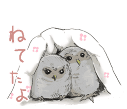 Fluffy Owl sticker #8110560