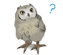 Fluffy Owl sticker #8110561