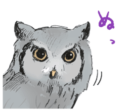 Fluffy Owl sticker #8110562