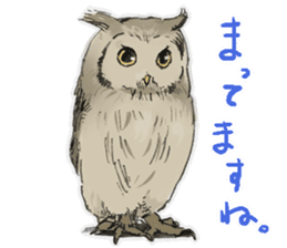 Fluffy Owl sticker #8110563