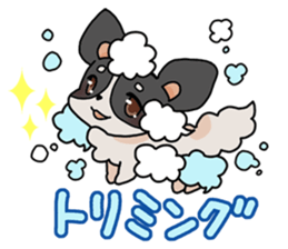 LOVE Chihuahua's Sticker sticker #8114051