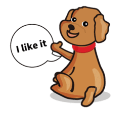 funny poodle eng sticker #8114342