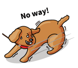 funny poodle eng sticker #8114347