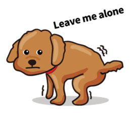 funny poodle eng sticker #8114348