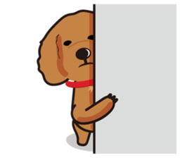 funny poodle eng sticker #8114349