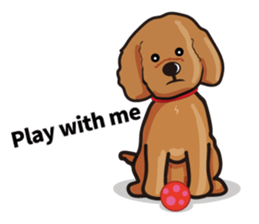 funny poodle eng sticker #8114351