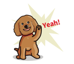 funny poodle eng sticker #8114352