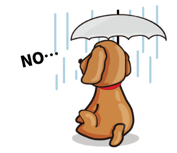 funny poodle eng sticker #8114354