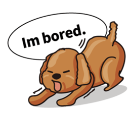 funny poodle eng sticker #8114355