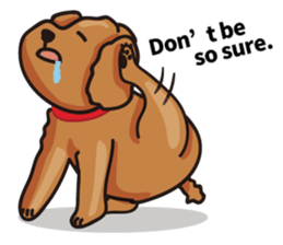 funny poodle eng sticker #8114356