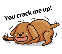 funny poodle eng sticker #8114357