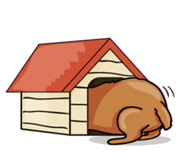 funny poodle eng sticker #8114358