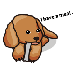 funny poodle eng sticker #8114360