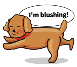 funny poodle eng sticker #8114361