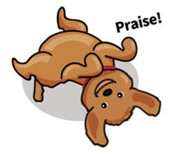 funny poodle eng sticker #8114362