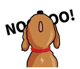 funny poodle eng sticker #8114363